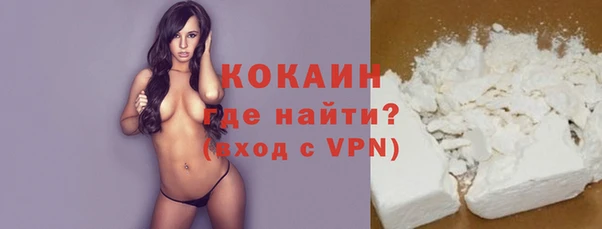 spice Новодвинск