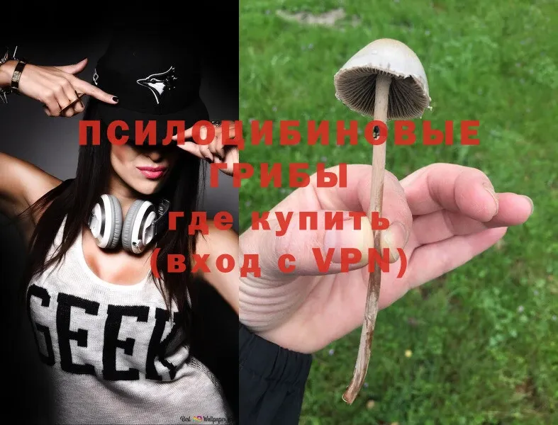 где продают наркотики  Рыбное  ОМГ ОМГ онион  Галлюциногенные грибы Magic Shrooms 